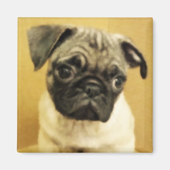 Imán Pug Puppy Magnet (Frente)