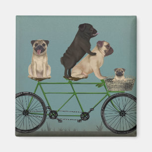 Imán Pug Tandem