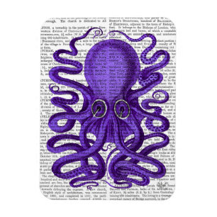 Imán Pulpo morado
