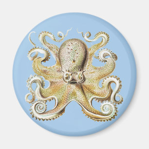 Imán Pulpo Vintage Ernst Haeckel Vida Marina Náutica