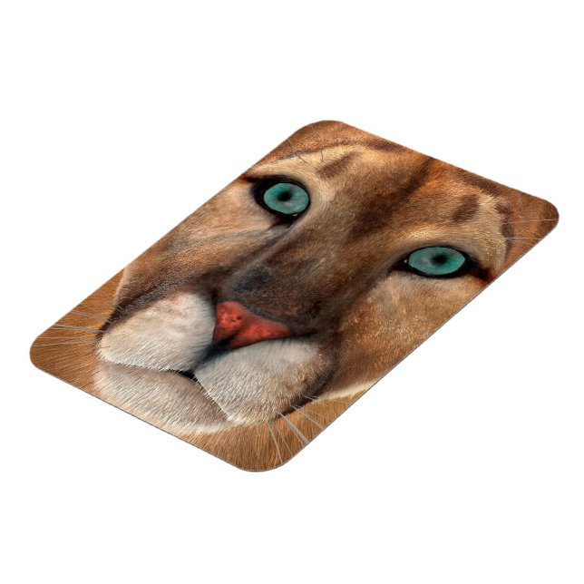 Imán Puma (Lado Izquierdo)