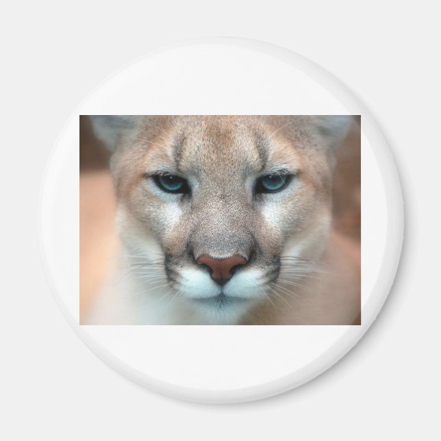 IMÁN PUMA MAGNÍFICO (Frente)