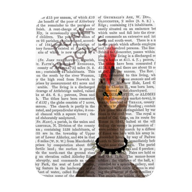 Imán Punk Rock Goose (Vertical)