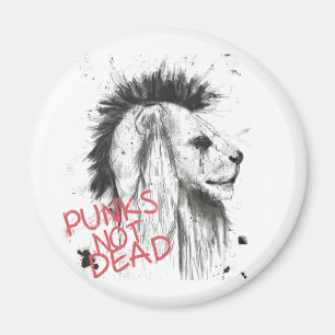 Imán punks no absolutamente