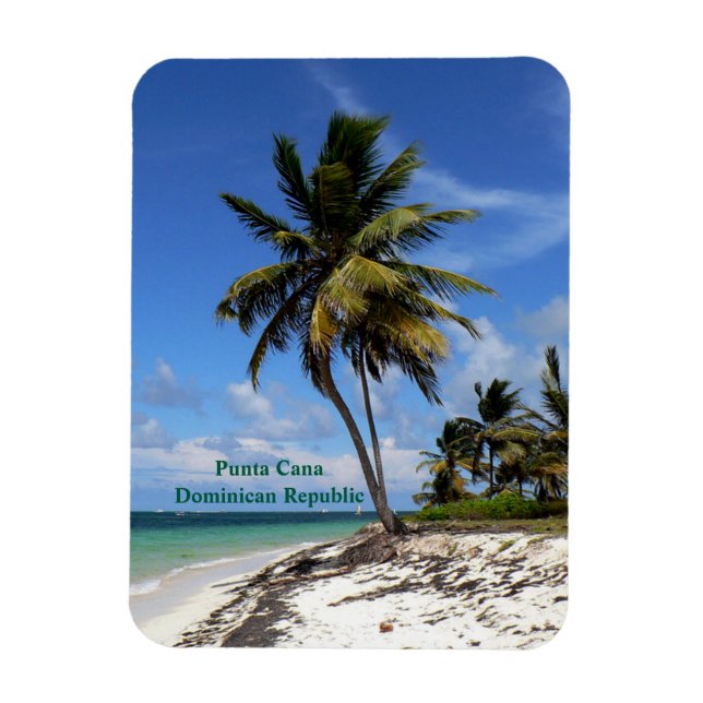 Imán Punta Cana, Dominican Republic, coconut palm tree (Vertical)