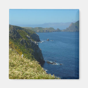 Imán Punto de Inspiración de Anacapa II en las Islas de