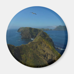 Imán Punto de Inspiración I de Anacapa en Islas del Can