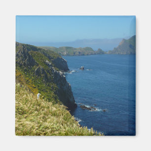 Imán Punto de inspiración II de Anacapa en las Islas de