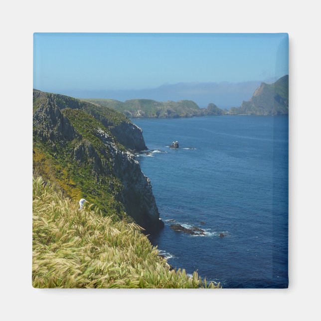 Imán Punto de inspiración II de Anacapa en las Islas de (Frente)