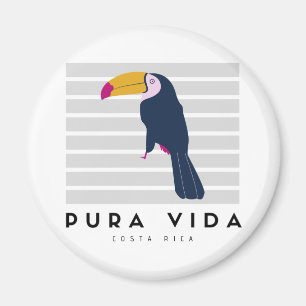 Imán Pura Vida Toucan Costa Rica Souvenir