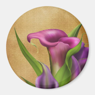 Imán Purple Callas
