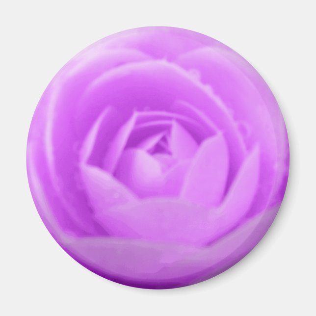 Imán Purple Camellia Magnet (Frente)