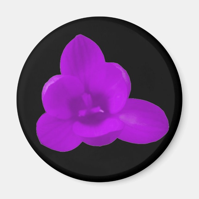 Imán Purple Crocus Magnet (Frente)
