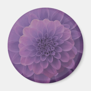 Imán Purple Dahlia