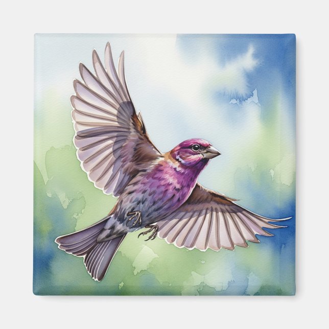 Imán Purple Finch in flight (Frente)