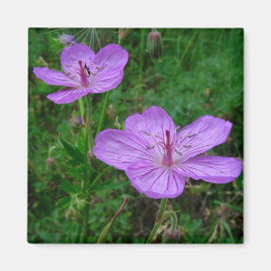 Imán Purple Florals