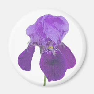 Imán Purple Iris Magnet