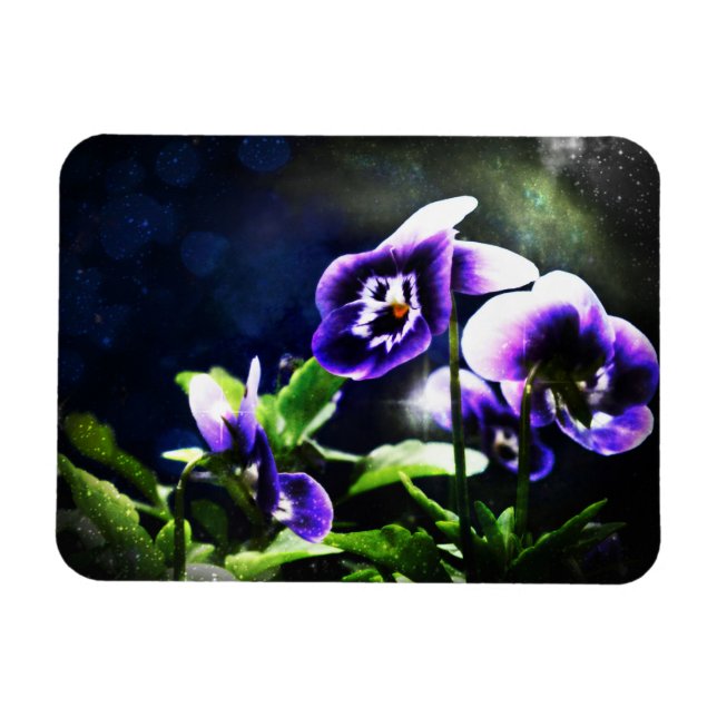 Imán Purple Johnny Jump Ups y Stars (Horizontal)