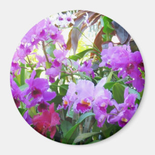 Imán Purple Lilies Magnet