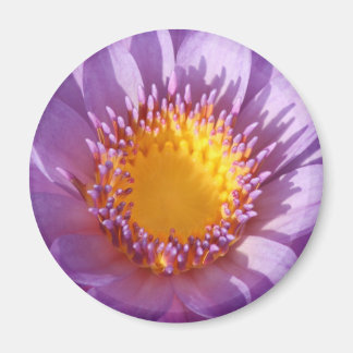 Imán Purple Lily Magnet