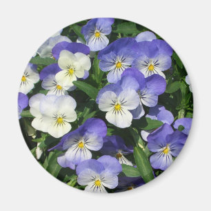 Imán Purple Pansies Garden Floral