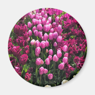 Imán Purple Tulips Garden Bed