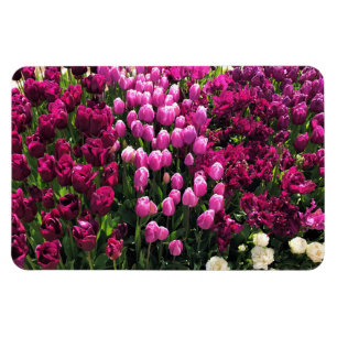 Imán Purple Tulips Garden Bed