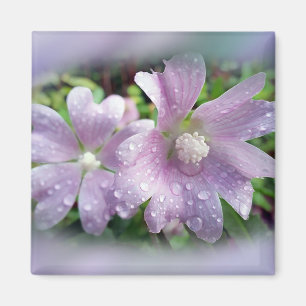 Imán Púrpura brillante