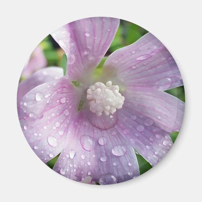 Imán Púrpura brillante (Frente)