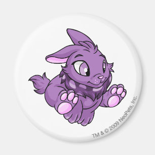 Imán Púrpura de Cybunny