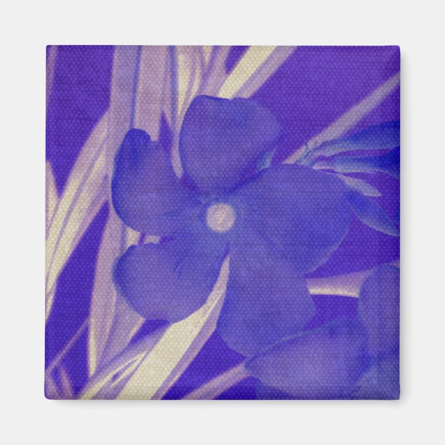 Imán púrpura de la flor (Frente)