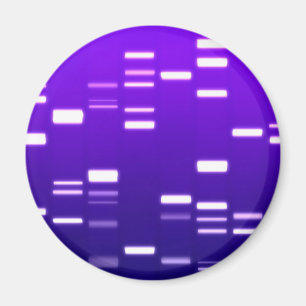 Imán Púrpura del código genético de la DNA
