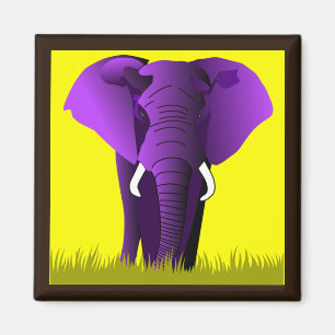 Imán púrpura del elefante