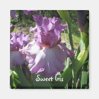 Imán púrpura, dulce iris