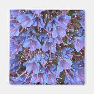 Imán Púrpura Pasión