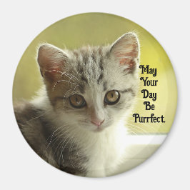 Imán Purrfect Day Kitten Magnet