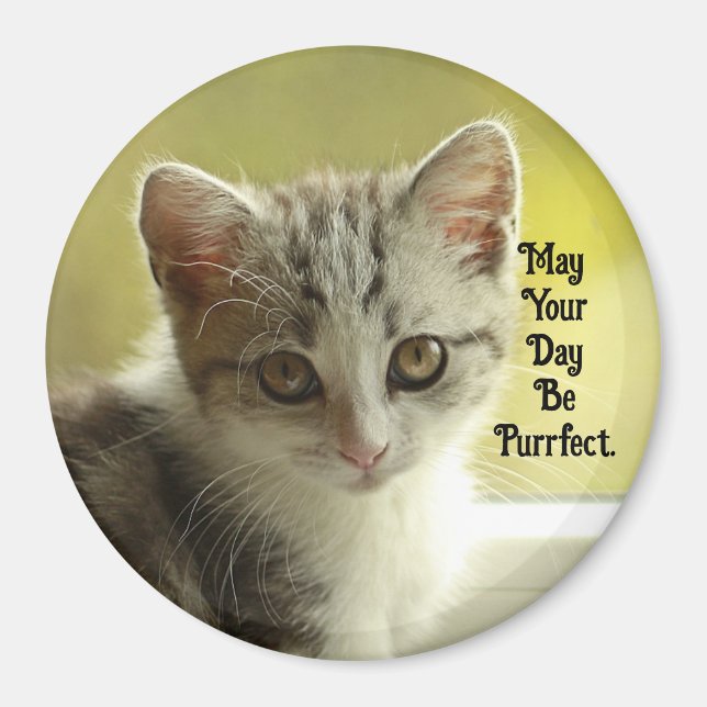 Imán Purrfect Day Kitten Magnet (Frente)