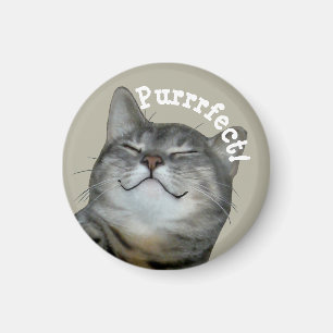 Imán Purrfect Gato de gatito de contrabando sonriente