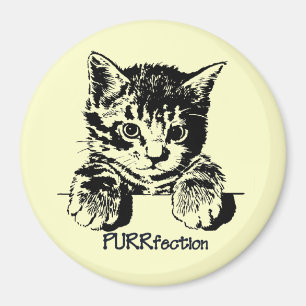 Imán Purrfection del gato