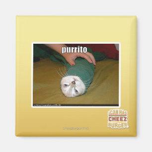 Imán purrito