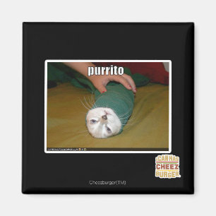 Imán purrito