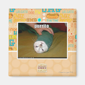 Imán purrito