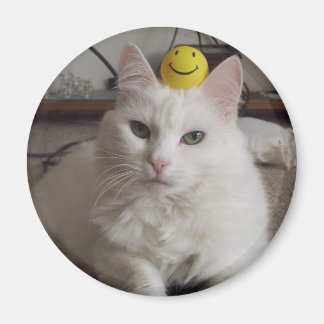 Imán "Purrl" Magnet