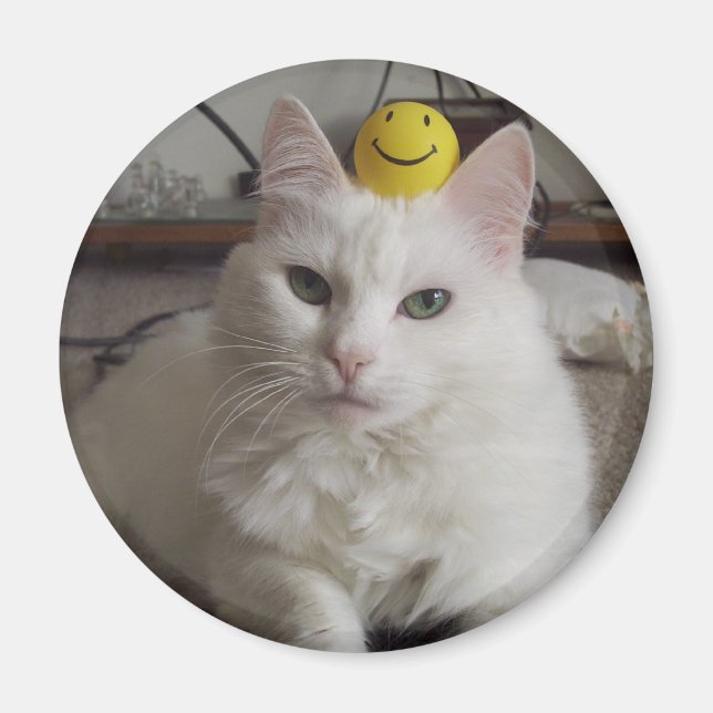 Imán "Purrl" Magnet (Frente)