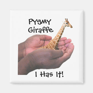 Imán Pygmy Giraffe