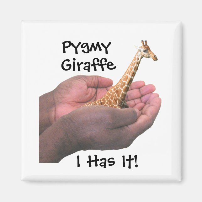 Imán Pygmy Giraffe (Frente)