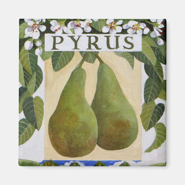Imán Pyrus