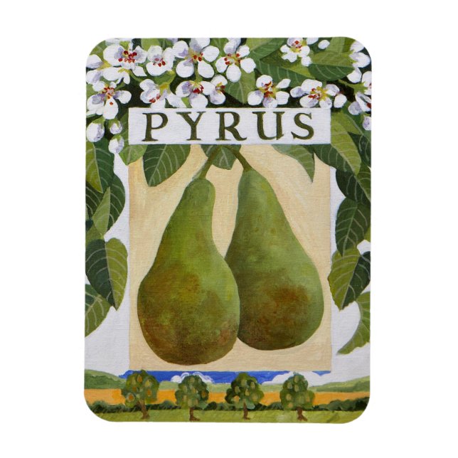 Imán Pyrus (Vertical)