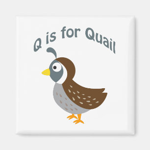Imán Q es para Quail