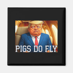 Imán Qatar Un Lago Anti Trump Qatar Avión Los Cerdos Vu